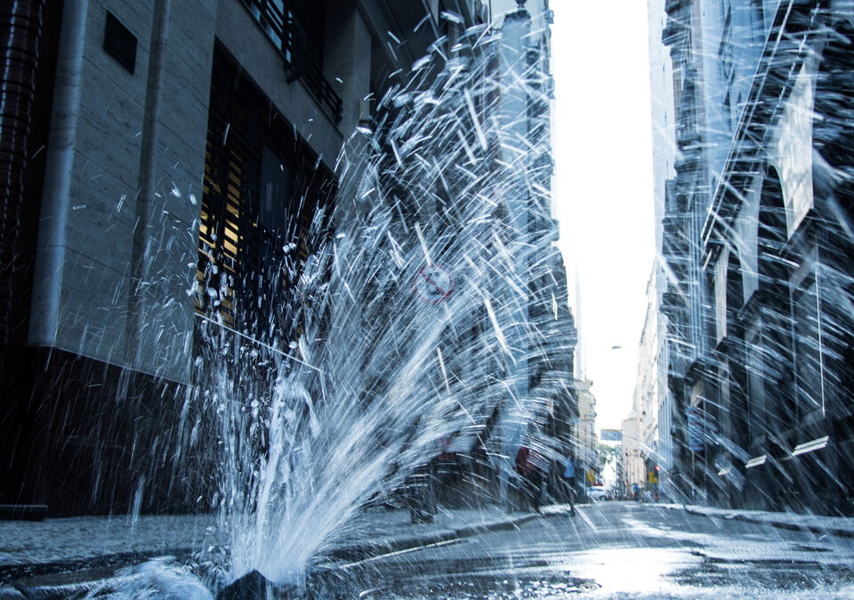 We need to use water more carefully. A good place to start? Spot water leaks.